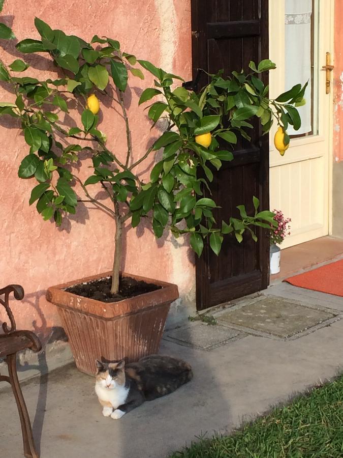 Agriturismo Il Pettirosso Guest House Forlì Eksteriør bilde