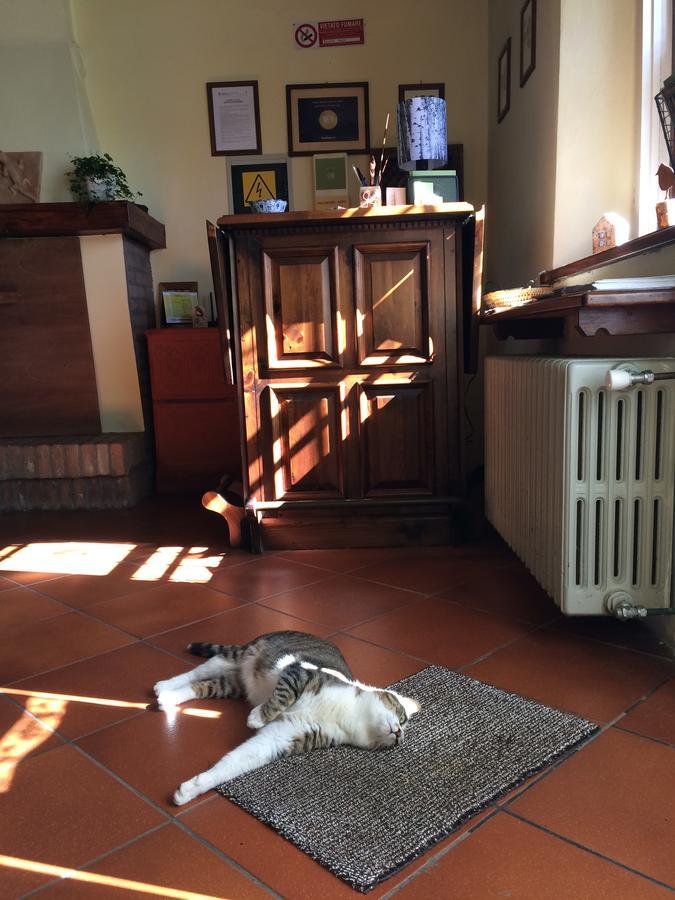 Agriturismo Il Pettirosso Guest House Forlì Eksteriør bilde