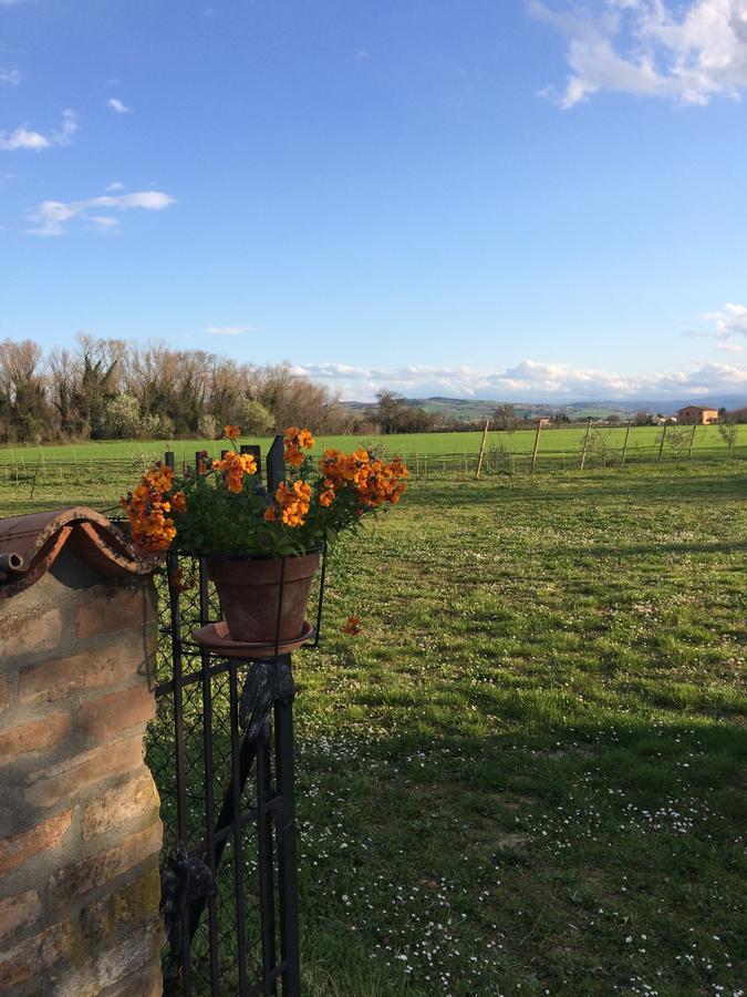 Agriturismo Il Pettirosso Guest House Forlì Eksteriør bilde